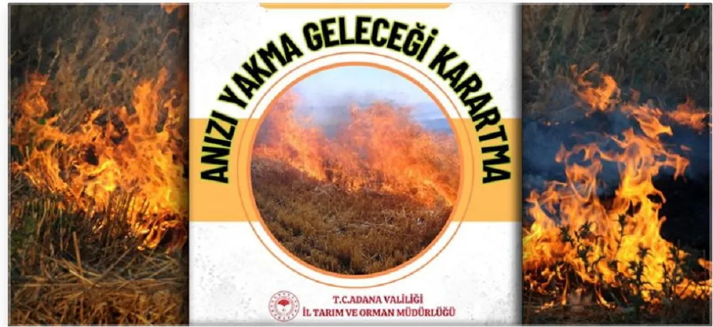 ANIZ YAKMAK, HEM TOPRAĞI HEM ÇEVREYİ ÖLDÜRÜYOR