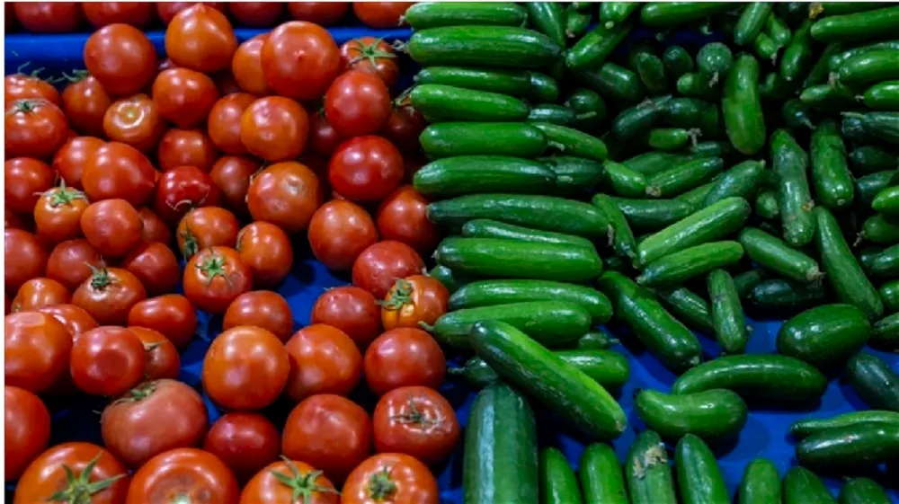 SALATALIK VE DOMATES REKOR KIRDI