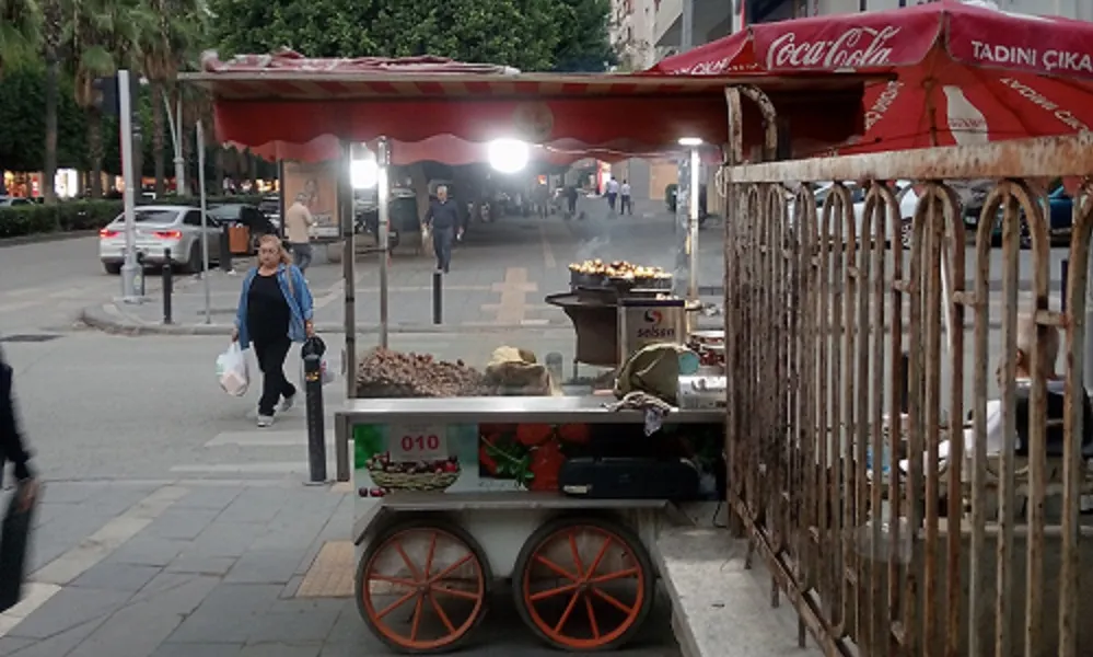 Serhan Kelleözü Yazdı/ÇİÇEK ARTIK SEVİLMİYOR