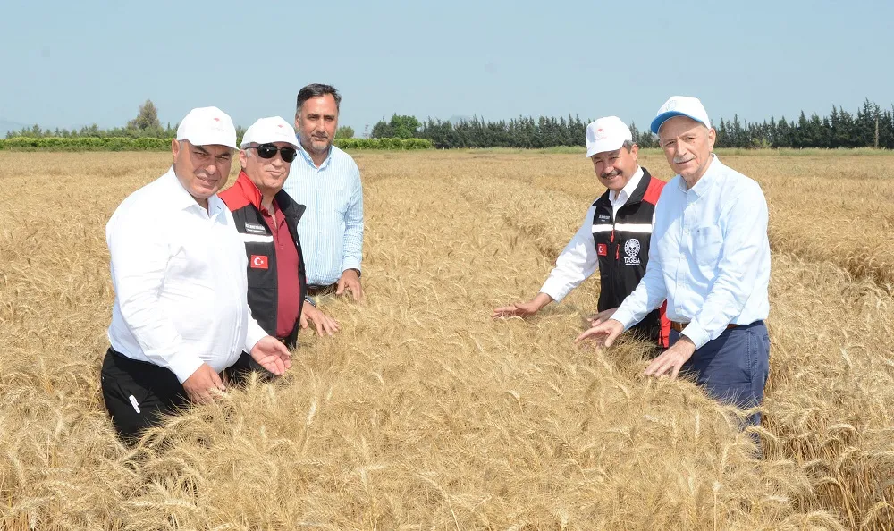 BİLGİÇ: YERLI TOHUM,  KATMA DEĞERLI ÜRETIM”