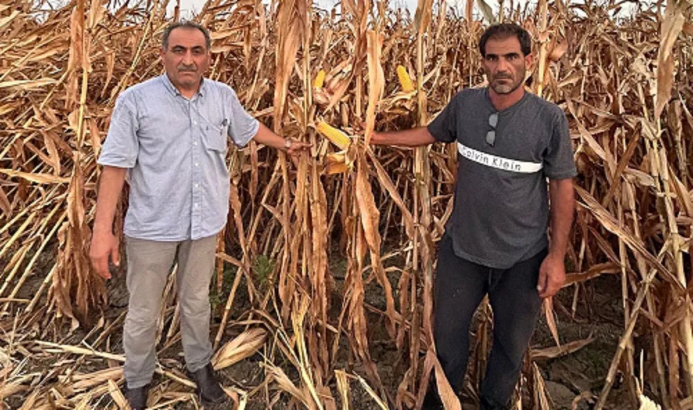 TARSİM SİGORTALARI İLE ÇİFTÇİNİN YILDIZI BARIŞMIYOR