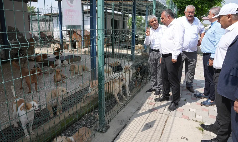 ADANA’DA SOKAK CANLILARI DOĞALYAŞAM ALANINDA BAKILIYOR