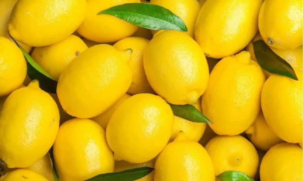 ÇİFTÇİLERE DESTEKLEME ÖDEMESİ YAPILACAK