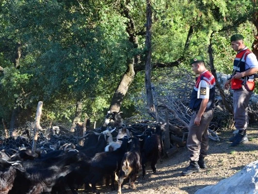 Ahırlara kamera ve alarm uyarısı