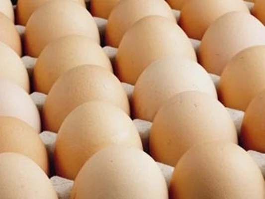 Yıllık yumurta üretimi 14 milyarı aştı