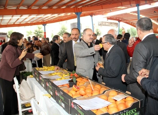 Semt Pazarında Organik Günler