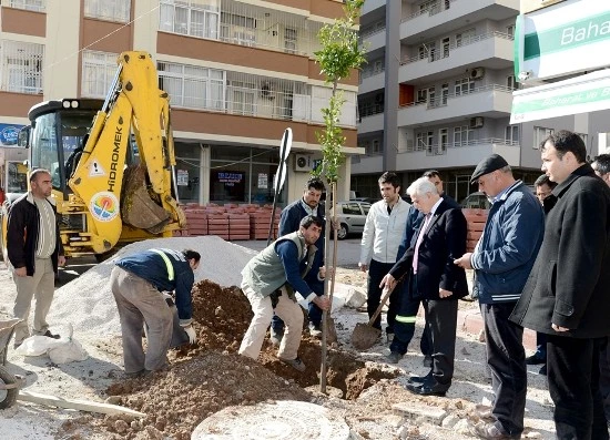 Adana’da turunç dikimi kampanyası