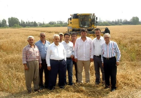 Buğdayda mevsimin ilk hasadı