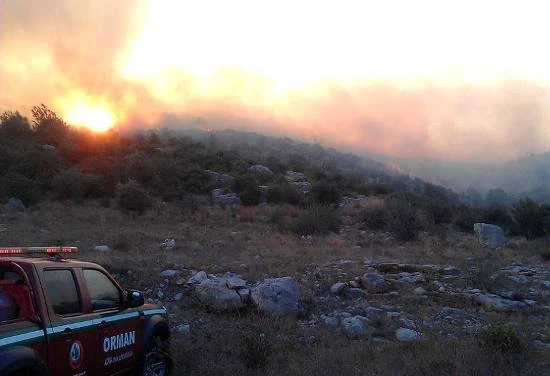 Karaisalı Orman YAngınında Sabotaj Şüphesi