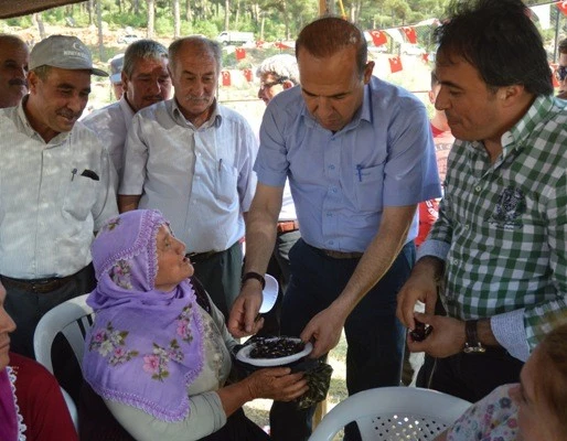 En iyi kirazı yetiştirdi, yol istedi