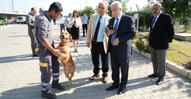 Organ Bağışı İçin Zirveye Çıktılar