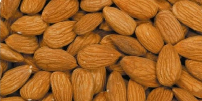 Badem Üretiminde 4. Sıradayız