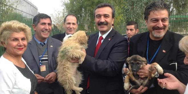 Doğanın Bebeklerine Barınak Kafe