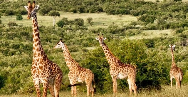 İzlanda’ya Fotoğraf Turizmi