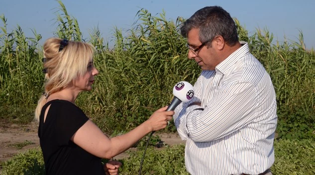 Katma Değeri Yüksek Karpuz