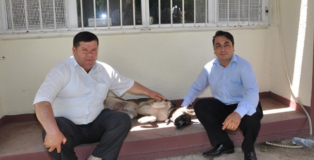 hastane_saglik_kopek_itlaf (1)
