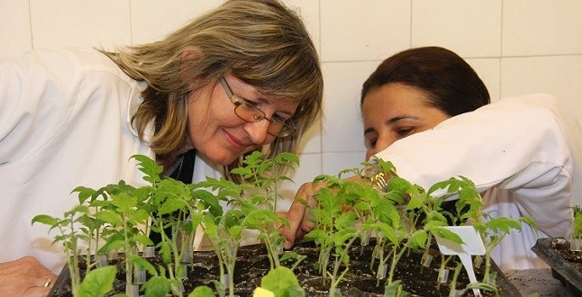 Bulgarlar Sebze Aşılama Eğitiminde