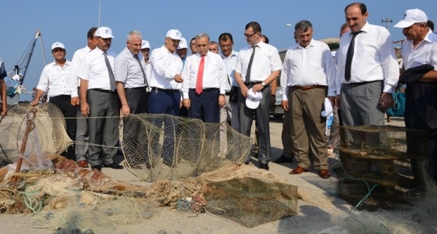 vali_buyuk_deniz_aglari