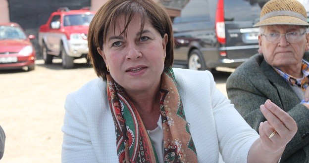 elif_dogan_turkmen_chp1