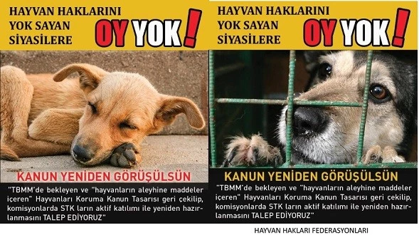 Hayvanların Haklarını YOK Sayan Siyasilere OY YOK!