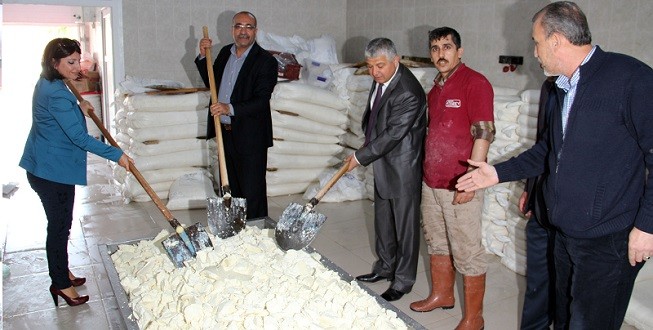 yuregir sebze hali (2)