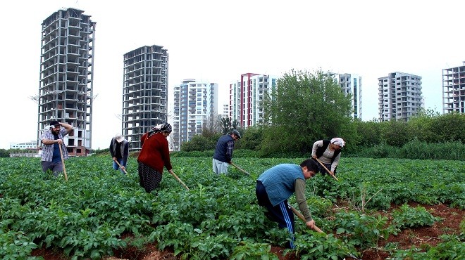 hakan_gul1_adana_gercegi