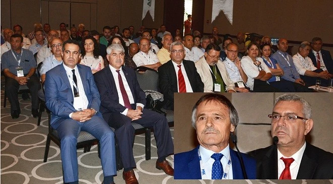 Tarımda Narenciyenin Yeri