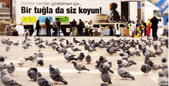 losev_tir (2)