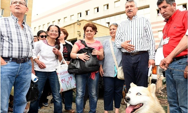 Sokak Hayvanlarının Dostuyuz