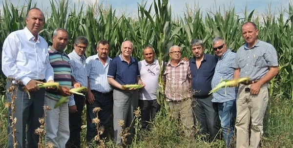 Mısır Üreticisinin Gözü TMO’da