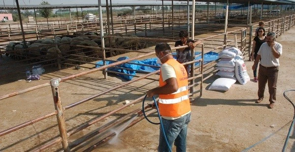 Büyükşehir, Ceyhan Havyan Pazarını İlaçlıyor