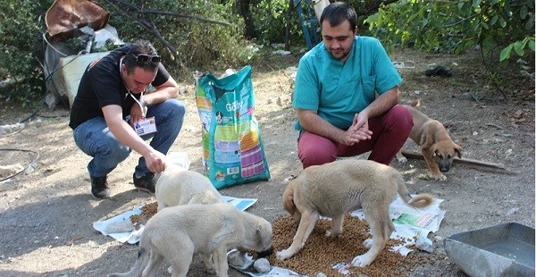 Tedavileri de sokakta yapıldı