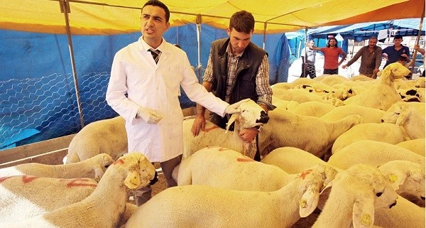 Seyhan’da kurban satış ve kesim yerleri