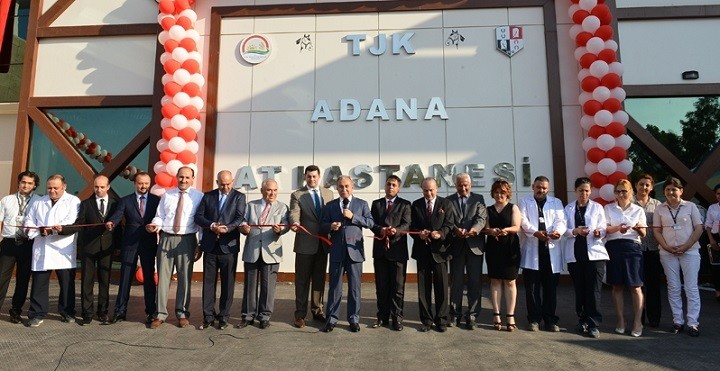 yarıs_ati_hastanesi