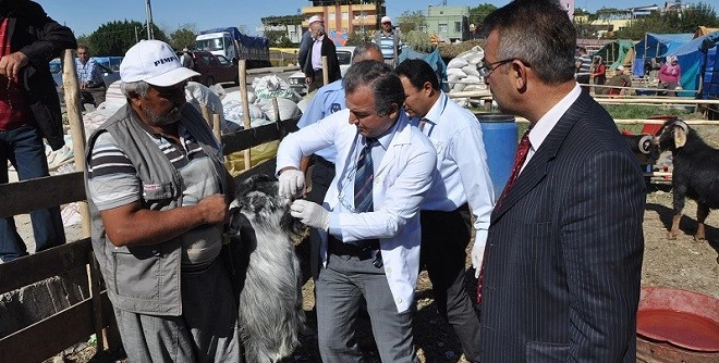 Yüreğir’de Kurban Kesim ve Satış Yerleri