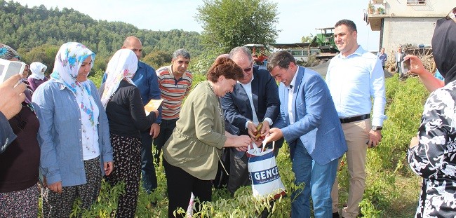 fatma_guldemet_salca (3)