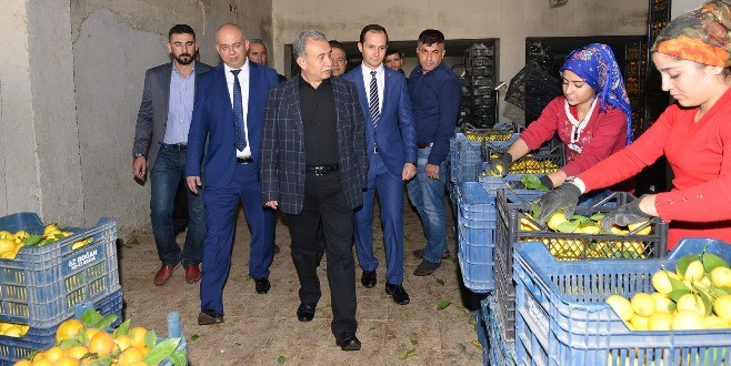 vali_hal_otogar (4)