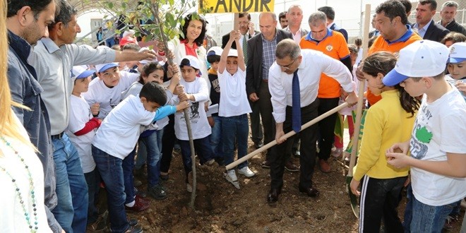 celikcan_fidan_dikti (2)