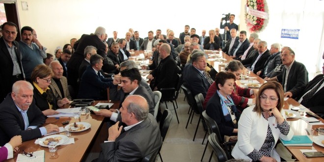 chp_kirsal (2)
