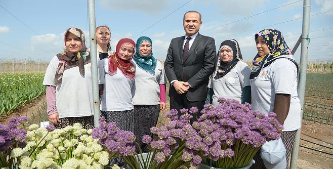 sozlu_cicek_hollanda