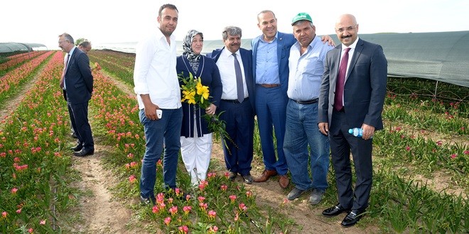 hollanda_cicek_ (1)
