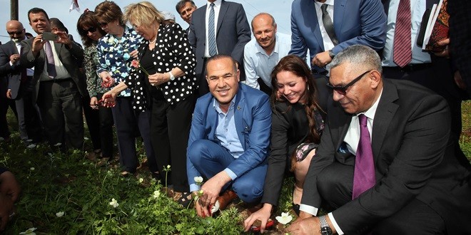 hollanda_cicek_ (2)