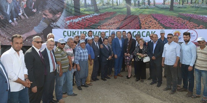 hollanda_cicek_ (3)