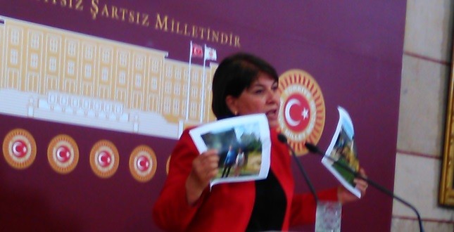 elif_dogan_ceyhan_stad_incir (2)