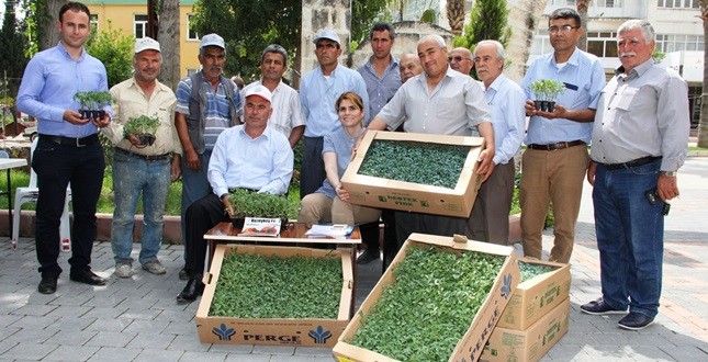 fide_dagitimi_karaisali (2)