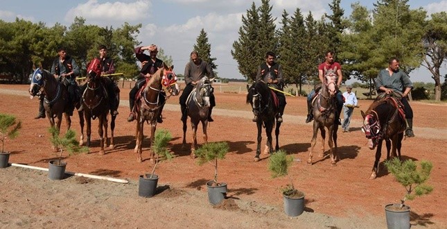 oklcular.adana