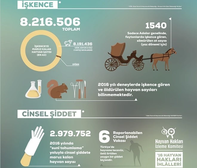 HAYVAN HAKLARI İHLALLERİ MERCEK ALTINA ALINIYOR