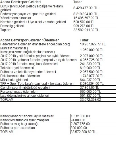 ADANA DEMİRSPOR’UN BORCU 29 MİLYON 653 BİN LİRA