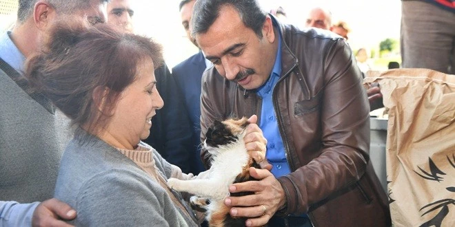 KEDİLERE HER AY MAMA DAĞITILIYOR