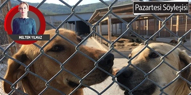 HAYVANLARI KORUMA ŞOVLARI YALAN ÇIKTI